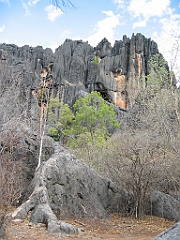 175 Chillagoe